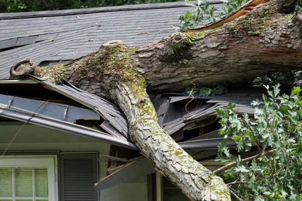 Storm Remediation in Ypsilanti