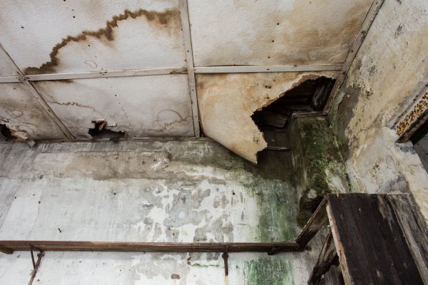 Water Damage Service in Ypsilanti