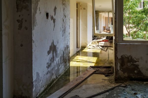 Water Removal Service in Ypsilanti