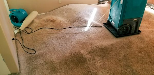 Carpet Water Extraction in Ypsilanti
