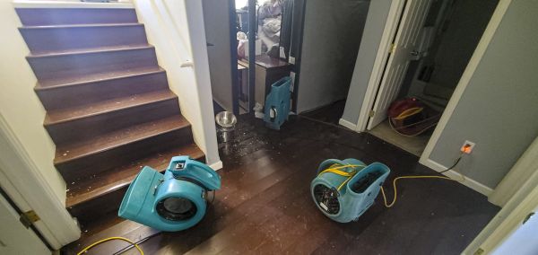 Water Damage Remediation in Ypsilanti