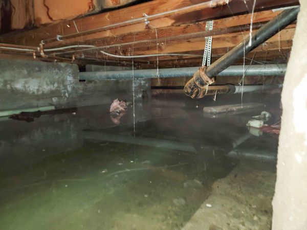 Water Mitigation Service in Ypsilanti