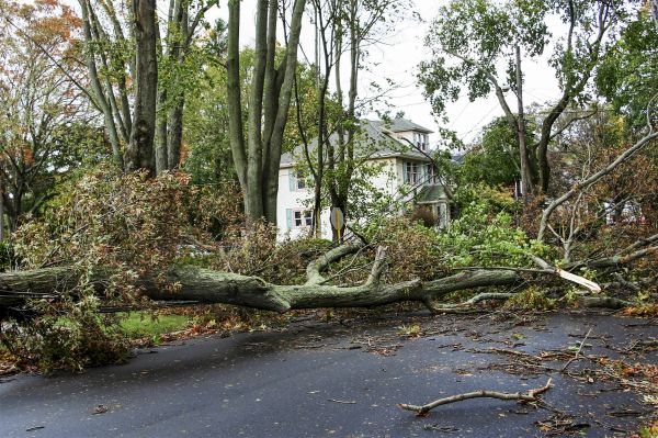 Tornado Damage Repair in Ypsilanti