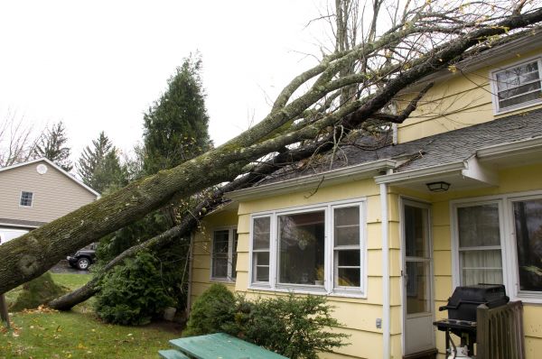 Storm Damage Mitigation in Ypsilanti