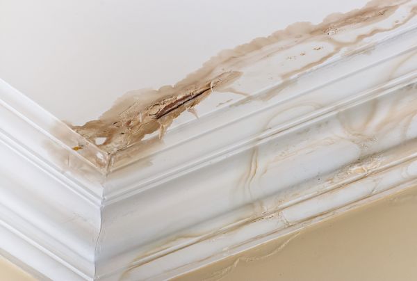 Water Damage Recovery in Ypsilanti