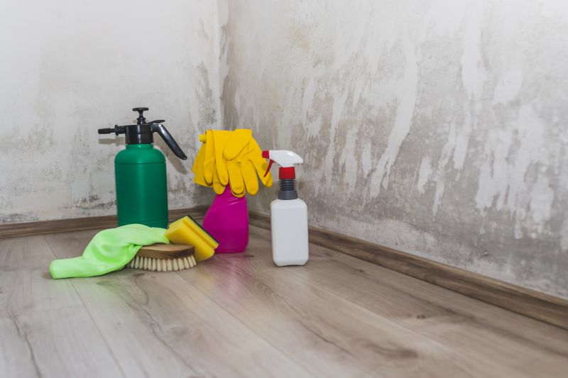 Sanitization and Odor Removal
